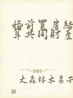 婚前买房结婚后算共同财产嘛