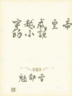 穿越成皇帝幼子的小说