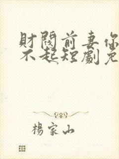 财阀前妻你高攀不起短剧免费