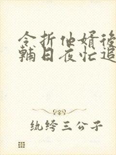 令折他婿后,首辅日夜忙追妻免费看小说封面