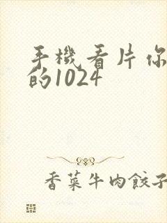 手机看片你最懂的1024