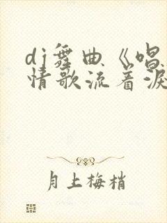 dj舞曲《唱着情歌流着泪》