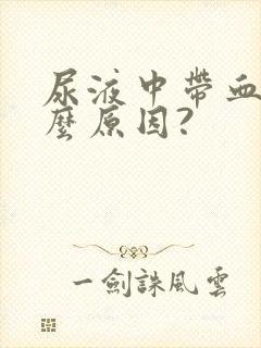 尿液中带血是什么原因?