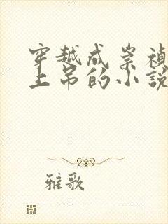 穿越成崇祯正在上吊的小说