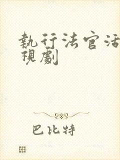 执行法官活 电视剧