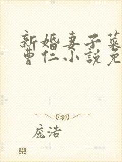 新婚妻子菜老板曹仁小说免费阅读