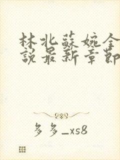 林北苏婉全本小说最新章节