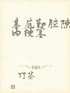 基底节腔隙性脑内梗塞