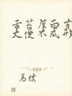 舌苔厚白有齿痕大便不成形