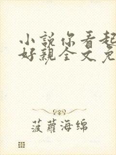 小说你看起来很好亲全文免费阅读