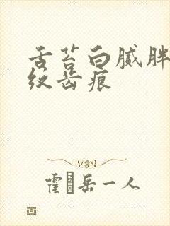 舌苔白腻胖大裂纹齿痕