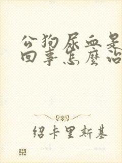 公狗尿血是怎么回事怎么治疗