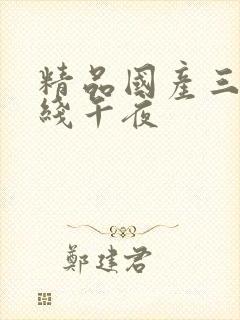 精品国产三级在线午夜