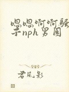 嗯嗯啊啊骚软奶子nph男团