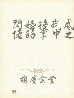 闪婚后我成了大佬的掌中之物46封面