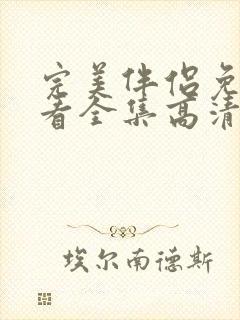 完美伴侣免费观看全集高清版