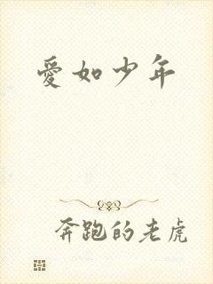 爱如少年封面