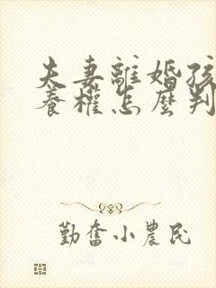 夫妻离婚孩子抚养权怎么判定