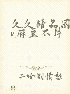 久久精品国产av麻豆不片