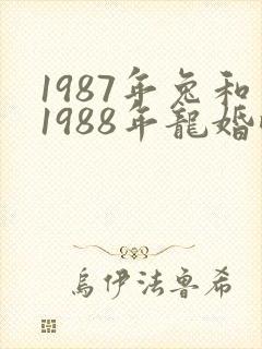 1987年兔和1988年龙婚配一生怎么样
