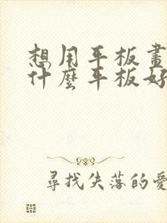 想用平板画画,什么平板好