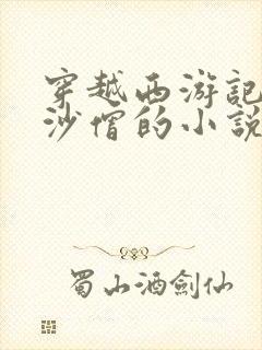 穿越西游记成为沙僧的小说封面