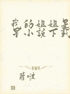 我的姐姐是大明星小说下载