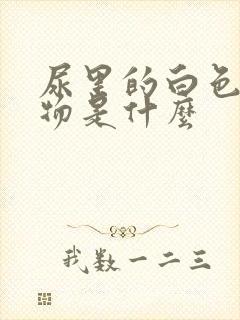 尿里的白色沉淀物是什么