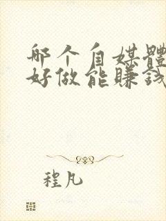 哪个自媒体比较好做能赚钱