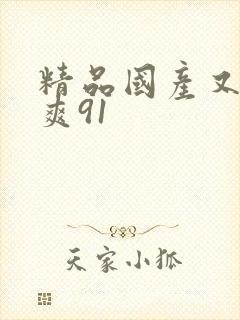 精品国产又色又爽91