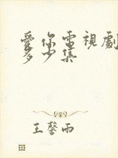 爱你电视剧一共多少集封面