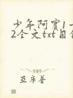 少年阿宾1一72全文txt目录
