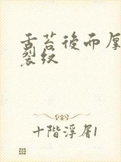 舌苔后面厚黄有裂纹封面