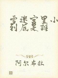 雪迷宫里小马哥到底是谁