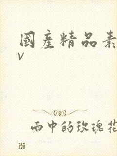 国产精品素人av