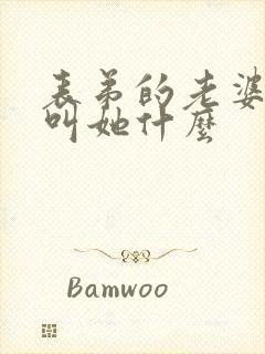 表弟的老婆我该叫她什么封面