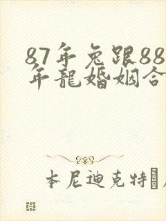 87年兔跟88年龙婚姻合吗