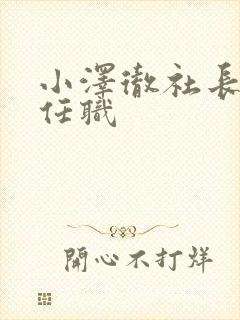 小泽彻社长秘书任职封面