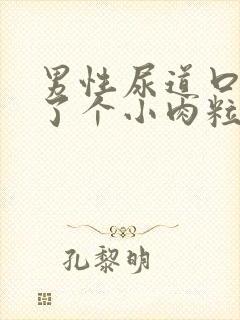 男性尿道口内长了个小肉粒