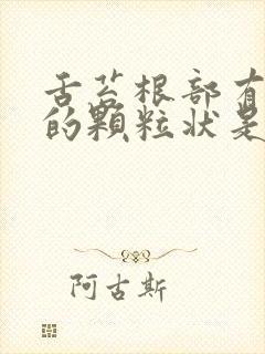 舌苔根部有红色的颗粒状是什么原因