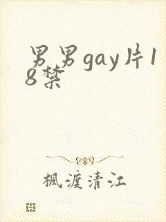 男男gay片18禁封面