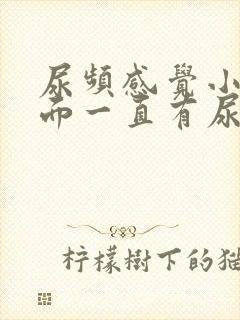 尿频感觉小腹下面一直有尿意男性吃什么药