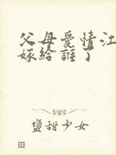 父母爱情江亚菲嫁给谁了封面