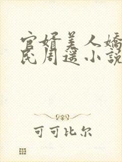 官婿美人娇王建民周遥小说