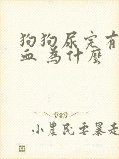 狗狗尿完有几滴血 为什么