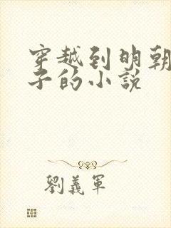 穿越到明朝当太子的小说