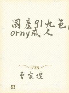 国产91九色porny成人