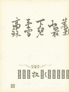 高手下山叶君临苏雪儿 最新章节