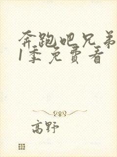 奔跑吧兄弟 第1季免费看