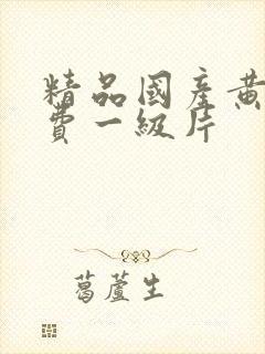 精品国产黄色免费一级片